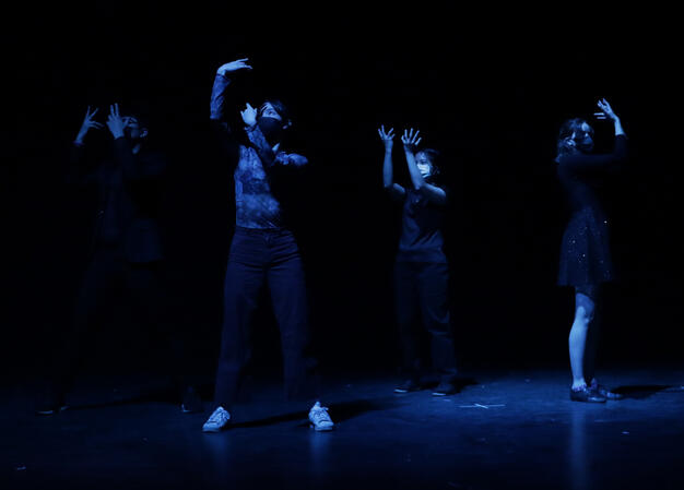 Black Swan - BTS (Spring Showcase)